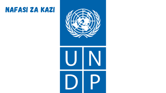 Programme Assistant Vacancies At UNDP 2024   Programme Assistant Vacancies At UNDP 2024 1 