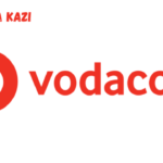 Retail Operation Executive at Vodacom February 2024