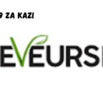 Reveurse New Vacancies 2024