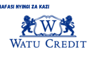 Sales Officer at Watu Credit February 2024