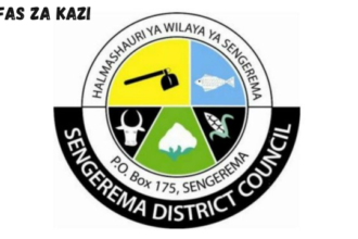 Sengerema District Council Vacancies February 2024