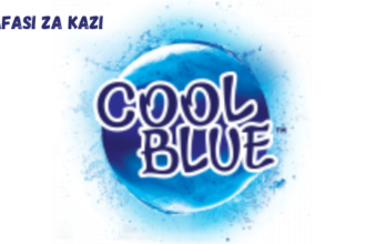 Senior Accountant Vacancies at Cool Blue 2024