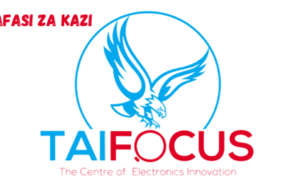 TAIFOCUS Vacancies February 2024