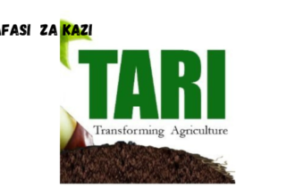 TARI Vacancies February 2024