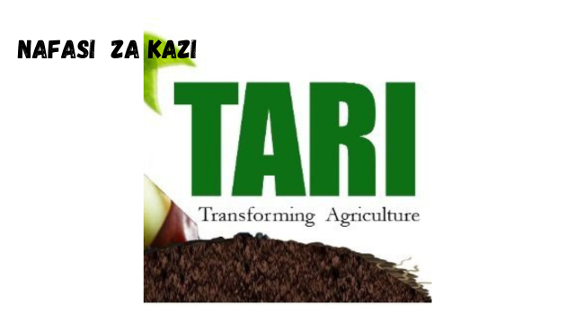 TARI Vacancies February 2024