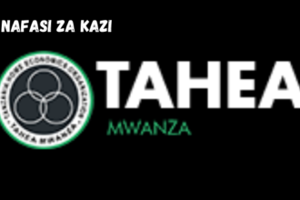 Tanzania Home Economics Organization (TAHEA) Vacancies 2024