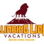 Travel Consultants Job Vacancies at Climbing Lion Vacations