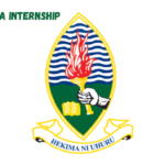 UDSM Internship Vacancies February 2024