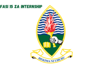 UDSM Internship Vacancies February 2024