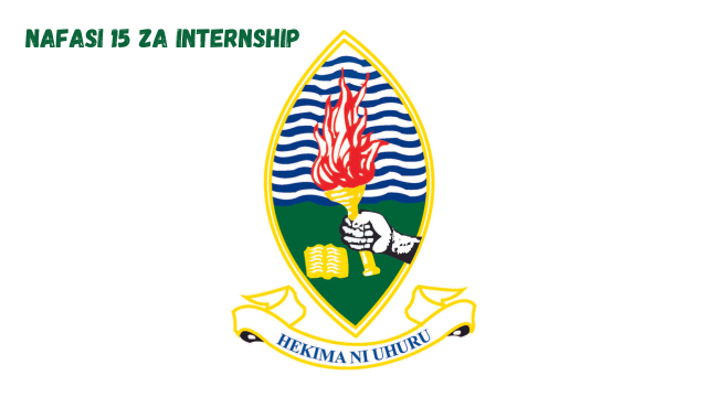 UDSM Internship Vacancies February 2024