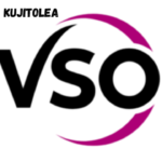 VSO International Volunteer Vacancies February 2024