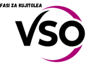 VSO International Volunteer Vacancies February 2024