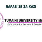 Various Jobs at Tumaini University Makumira February 2024