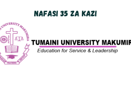 Various Jobs at Tumaini University Makumira February 2024