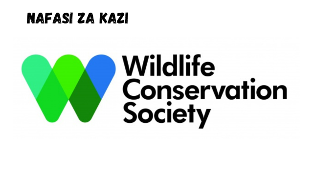 Wildlife Conservation Society Vacancies February 2024
