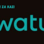 Accounts Assistant Vacancy at Watu Credit March 2024