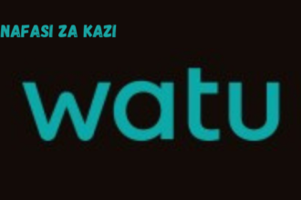 Accounts Assistant Vacancy at Watu Credit March 2024