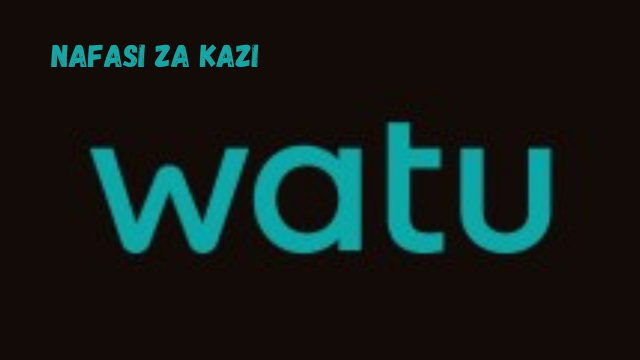 Accounts Assistant Vacancy at Watu Credit March 2024