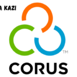 Chief of Party – USDA Food for Progress Project at CORUS International March 2024