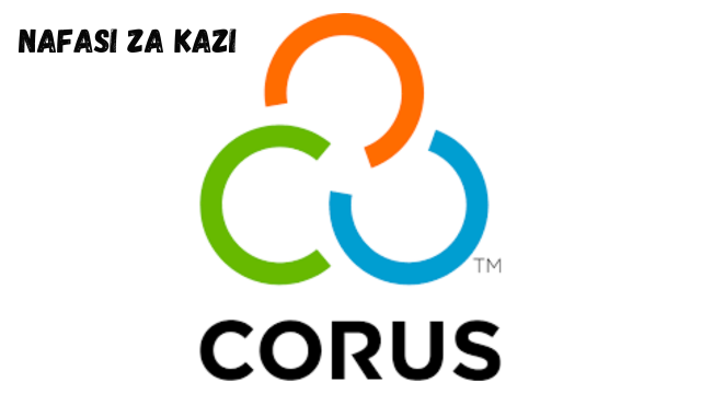 Chief of Party – USDA Food for Progress Project at CORUS International March 2024