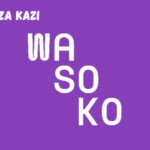 Country Accountant at Wasoko March 2024