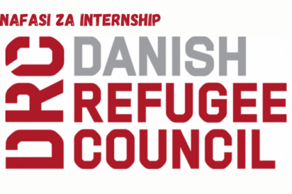 Economic Recovery – Intern at Danish Refugee Council March 2024
