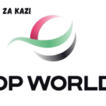 Environment Health and Safety Manager at DP World March 2024