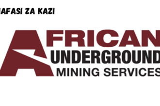 Graduate Mining Engineer at AUMS March 2024