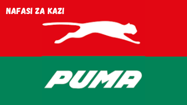 HSEC-CNG Coordinator at Puma Energy March 2024