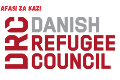 Head of Programmes – Burundi & Tanzania at Danish Refugee Council March 2024