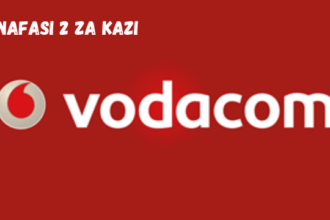 Insights & Reporting-Dar & Central 2 posts at Vodacom March 2024