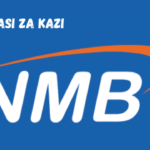 Insurance Specialist; Claims (4 Position(s)) at NMB Bank March 2024