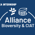 Intern at Alliance of Bioversity International March 2024