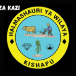 Kishapu District Council Vacancies March 2024