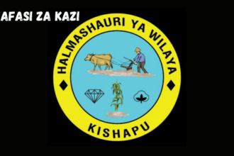 Kishapu District Council Vacancies March 2024