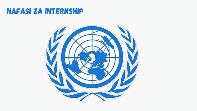 Legal Affairs Intern at United Nations March 2024