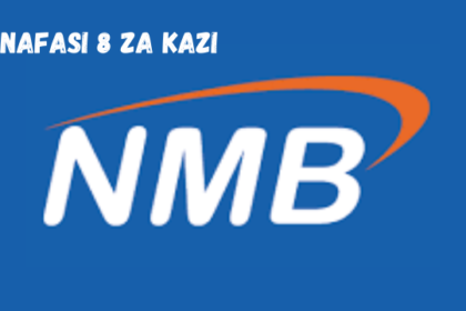 NMB Bank Various Vacancies March 2024