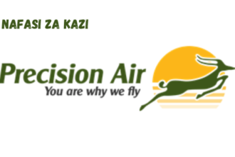 Network Planning And Alliances Analyst at Precision Air March 2024