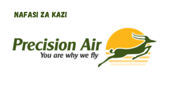 Network Planning And Alliances Analyst at Precision Air March 2024