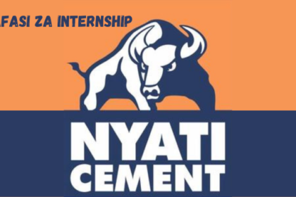 Nyati Cement Internship Vacancies March 2024