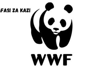 People & Culture (HR) Officer at WWF March 2024