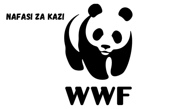 People & Culture (HR) Officer at WWF March 2024