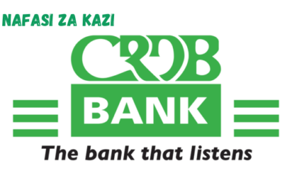 Portfolio Manager – IT & Digital Transformation Projects at CRDB Bank March 2024