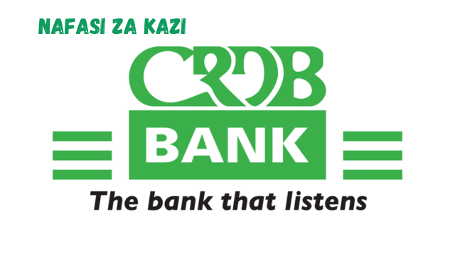 Portfolio Manager – IT & Digital Transformation Projects at CRDB Bank March 2024