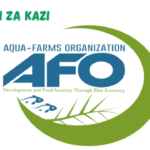 Program Manager at Aqua-Farms Organization - AFO March 2024