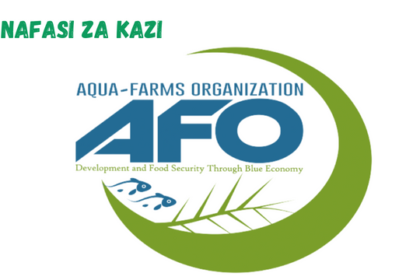 Program Manager at Aqua-Farms Organization - AFO March 2024