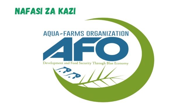 Program Manager at Aqua-Farms Organization - AFO March 2024