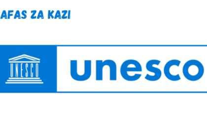 Project Assistant at UNESCO March 2024