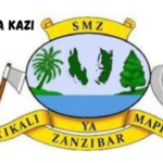 Project Secretary at Ministry of Health-Zanzibar March 2024