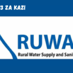 RUWASA Vacancies March 2024